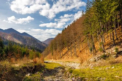 A mountain valley with a stream bed. Stock Photos
