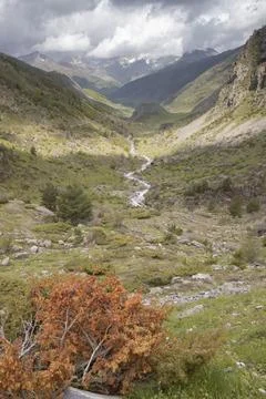 Mountain valley stream flowing through green pyrenees landscape Stock Photos