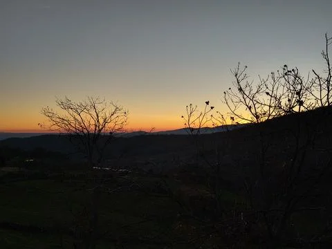 Mountain valley at sunset, framed by leafless trees Stock Photos