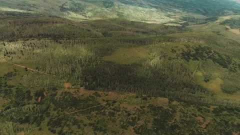 Mountain valley with trees and clouds Stock Footage 154877979