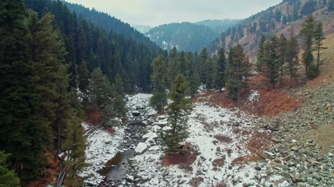 Mountain valley with trees and snow, drone shot. drung, jammu and kashmir, Stock Footage 265214769