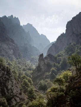 Mountain Valley with Trees Stock Photos