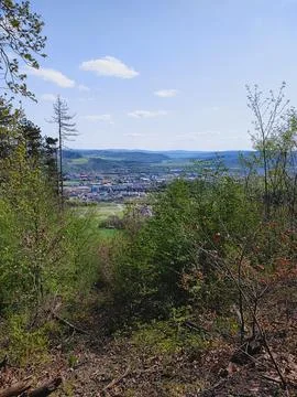 Mountain Valley Vista Through Spring Foliage 스톡 사진