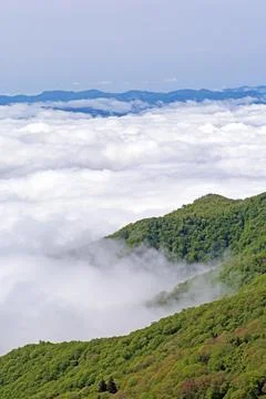 Mountain Valleys Filled with Clouds Stockfoto's