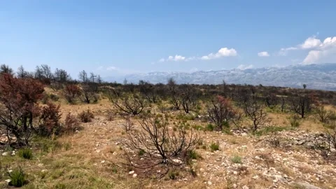 Mountain Velebit Croatia Fire Aftermath 库存影片 221717080