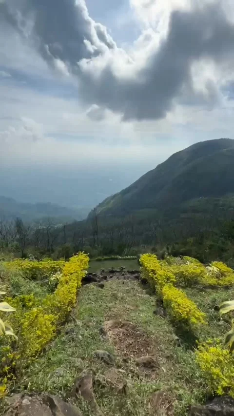 Mountain view 03 Stock Footage 313792463