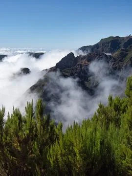 Mountain View Above Clouds in Madeira - Stunning view above the clouds from.. Stock Photos