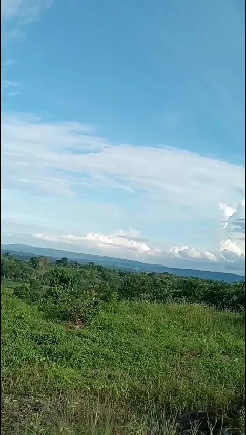 Mountain view and corn fields Stock Footage 297985377