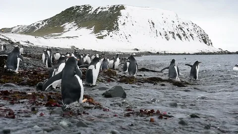 Mountain view in Antarctica Stock Footage 107742911