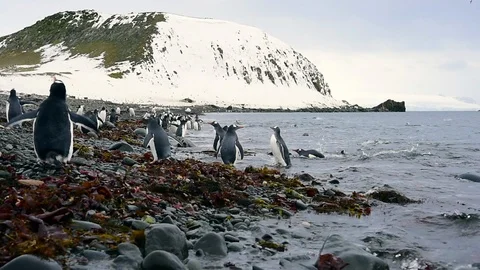 Mountain view in Antarctica Stock Footage 107742944