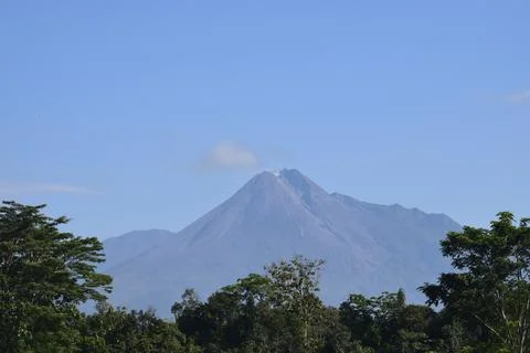 Mountain view between the trees Stock Photos