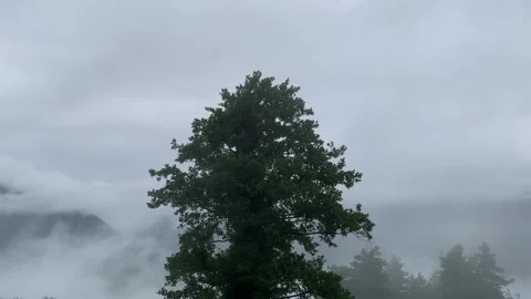 Mountain view in the clouds Stock Footage 153070577