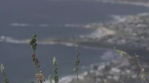 Mountain view of coastline and surf coming into focus Stock Footage 56479435