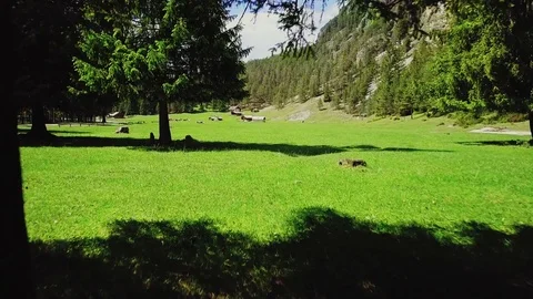 Mountain view from a drone Stock Footage 79760464