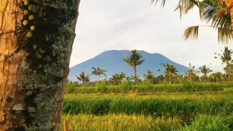 Mountain view in the evening Video stock 244979856