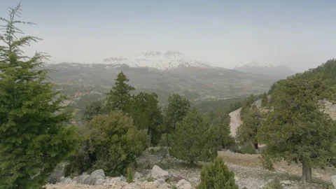 Mountain View with Evergreen Trees Stock Footage 282936141