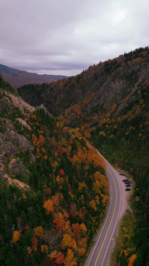 Mountain view with Fall foilage Stock Footage 253595693