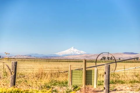 Mountain view from a field with wheel lines Stock Photos