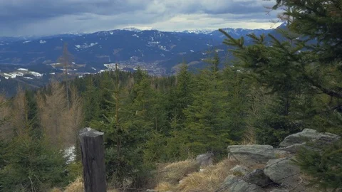 Mountain view with fir-trees Video stock 73625237