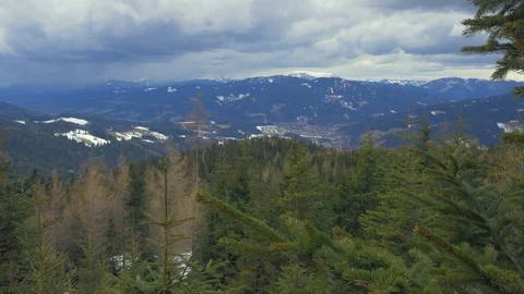 Mountain view with fir-trees Stock Footage 73631661