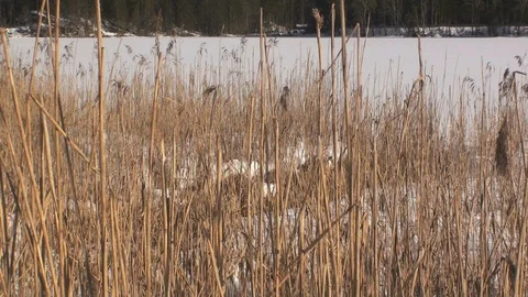 Mountain view Stock Footage 85688881