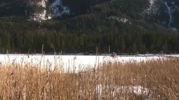 Mountain view 動画素材 85688893