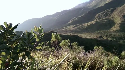 Mountain view Stock Footage 228265026