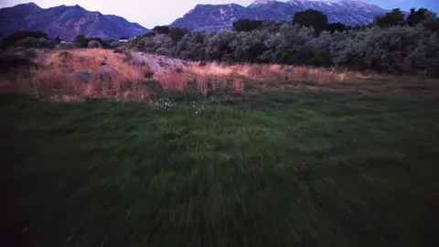 Mountain View 動画素材 247372634