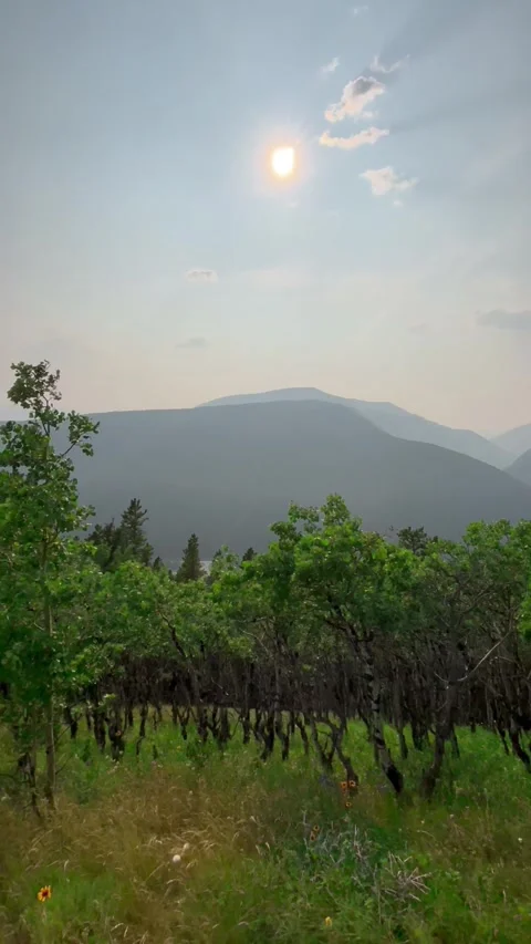 Mountain view Stock Footage 296644625