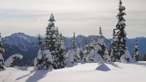 Mountain View Stock-Footage 315114907