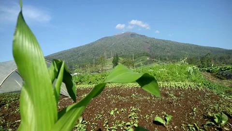 Mountain View Stock-Footage 332225738