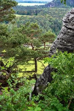 A mountain view with a forest in the background Stock Photos