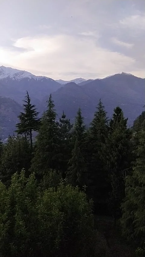 Mountain view with forest Stock Footage 240924052