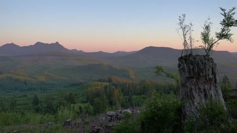 Mountain View of Forest at Sunset Stock Footage 341366925