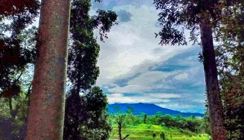 Mountain View Framed by Forest Foto stock