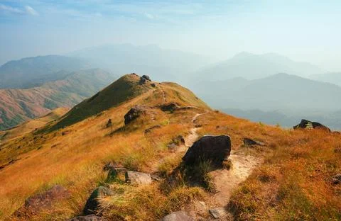 A mountain view full of grass In the evening Photos