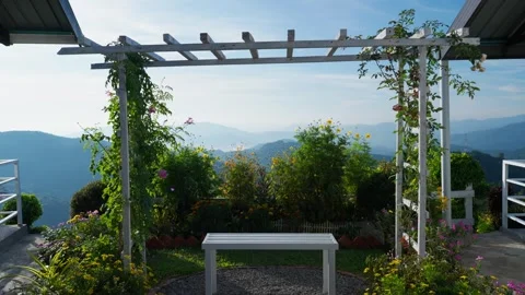 Mountain view from a garden Stock Footage 300849672