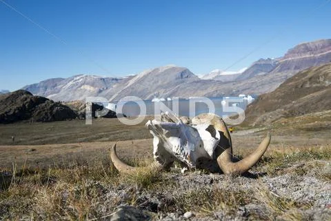 Mountain view in Greenland Stock Photos