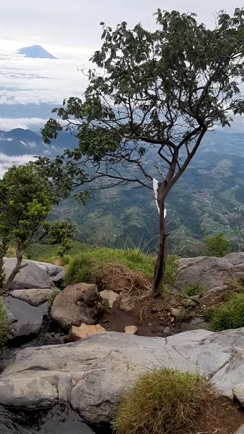 Mountain view in indonesia Stock Footage 219257210