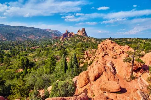 Mountain view landscape with lone tree on red rocks in desert mountains 스톡 사진