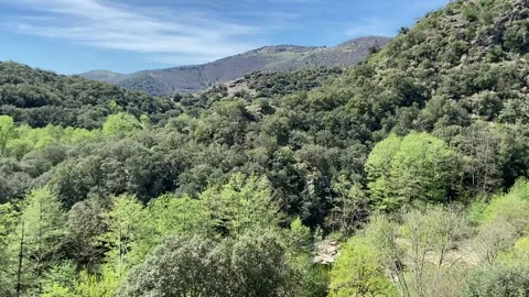 Mountain view in les Cévennes Stock Footage 340640098