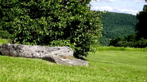 Mountain view low perspective slide right Видео 49350660