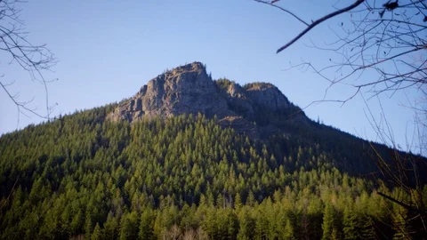 Mountain View - Medium Wide shot - Rattlesnake Ledge Video stock 124023513