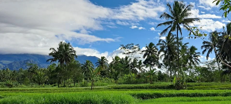 Mountain View of Merapi Foto stock
