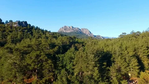 Mountain View Over the Forest Stock Footage 130106494