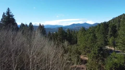 Mountain View Over Trees 스톡 동영상 219833147