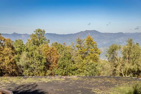 Mountain View Over Trees Sicily Stock Photos