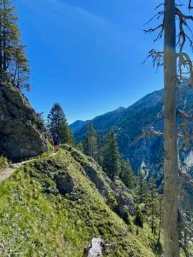 Mountain view over valley with forest, blue sky, alps, Bavaria, Germany Stock Photos