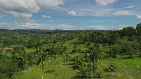 Mountain view in the phil. aerial view Stock Footage 260125870