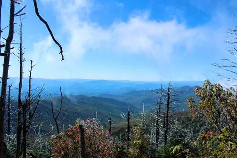 Mountain View Stock Photos
